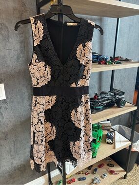Alice + Olivia Black and Beige Floral Lace V-Neck Mini Dress